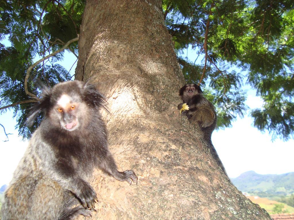 Vila Pousada Verde Maratea Pirangucu Exteriér fotografie